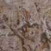 Ma nellintricato insieme di simboli compaiono anche griglie, recinti, catene di losanghe, zigzag, frecce, stelle a cinque punte, segni cruciformi e diversi animali